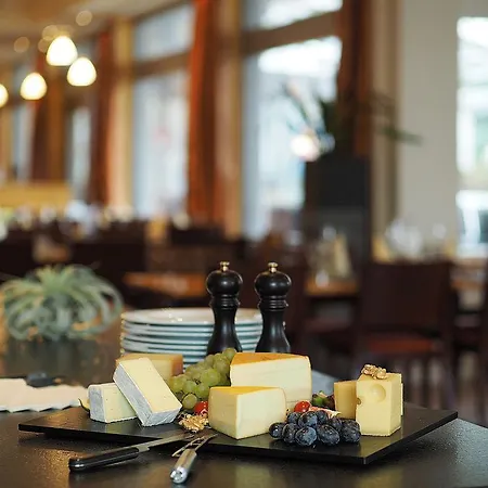 Hotel Holiday Thun Thun