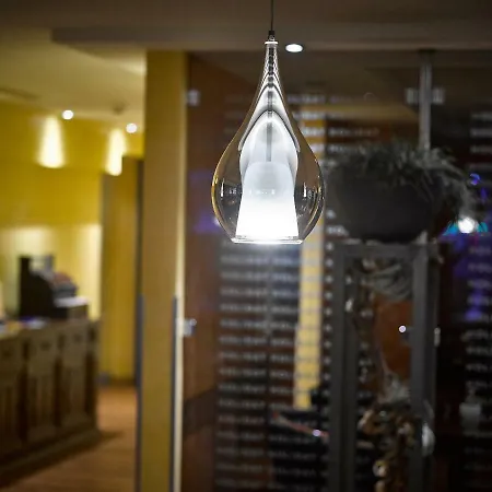 Hotel Holiday Thun 3* Тун